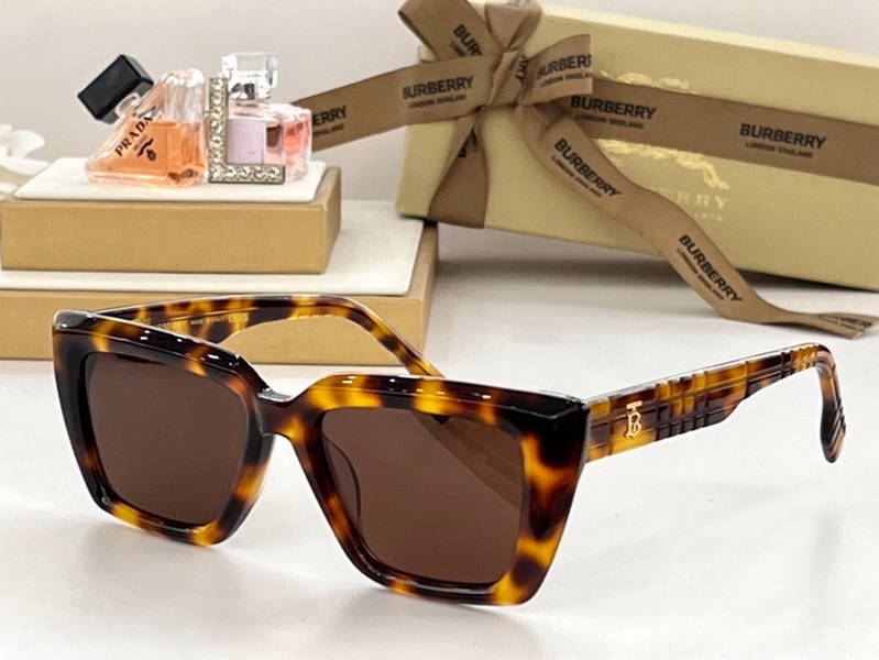 B**rry sunglasses(aaaa)-831