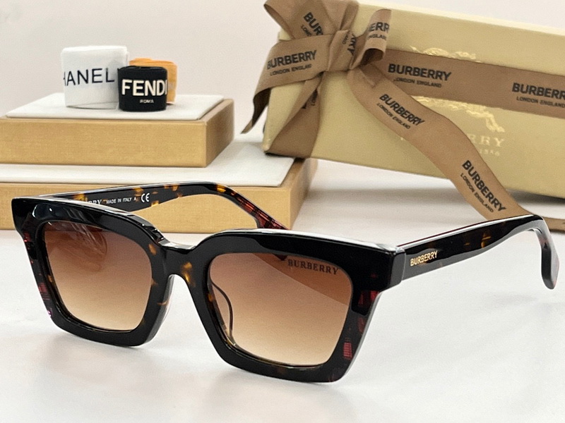 B**rry sunglasses(aaaa)-811