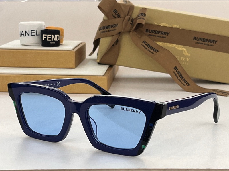 B**rry sunglasses(aaaa)-806