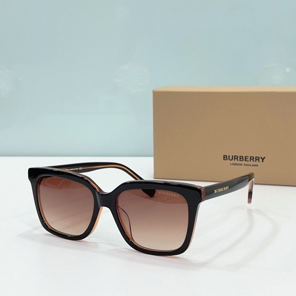 B**rry sunglasses(aaaa)-793