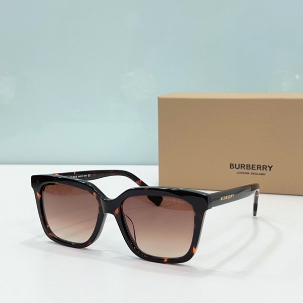 B**rry sunglasses(aaaa)-791