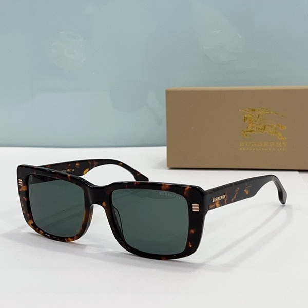 B**rry sunglasses(aaaa)-779