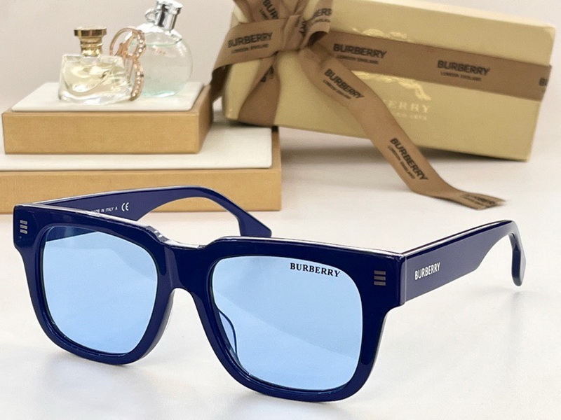 B**rry sunglasses(aaaa)-733