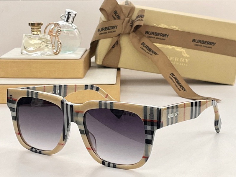 B**rry sunglasses(aaaa)-730