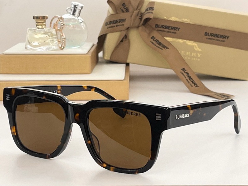 B**rry sunglasses(aaaa)-728