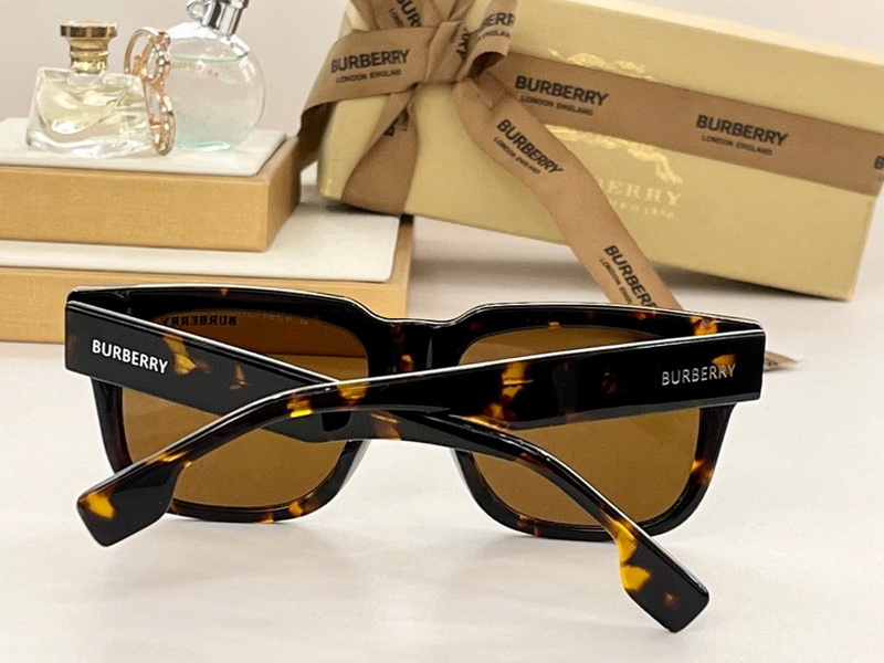 B**rry sunglasses(aaaa)-726