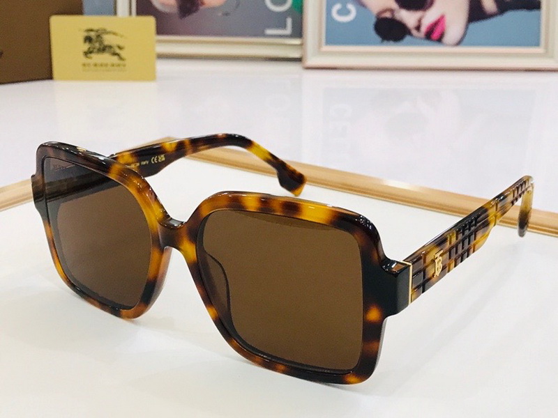B**rry sunglasses(aaaa)-713