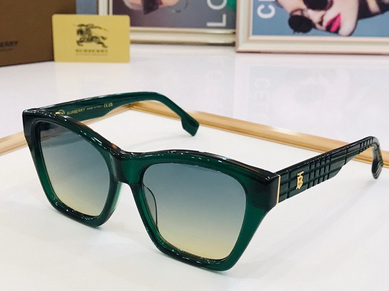 B**rry sunglasses(aaaa)-705