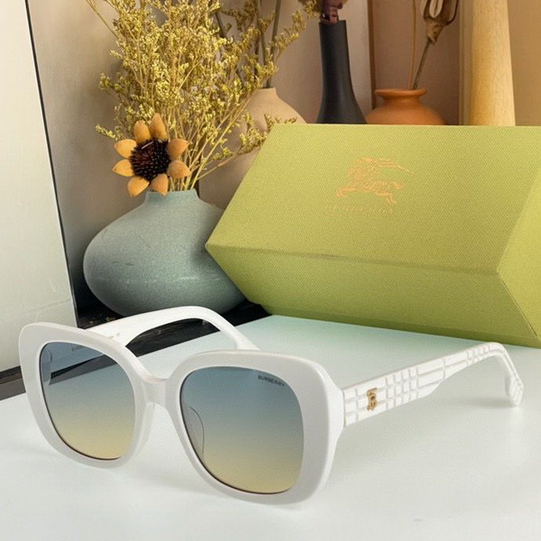 B**rry sunglasses(aaaa)-700