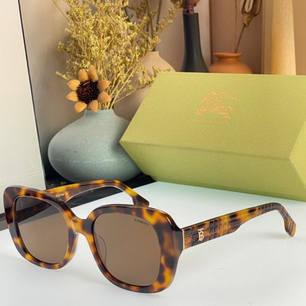 B**rry sunglasses(aaaa)-696