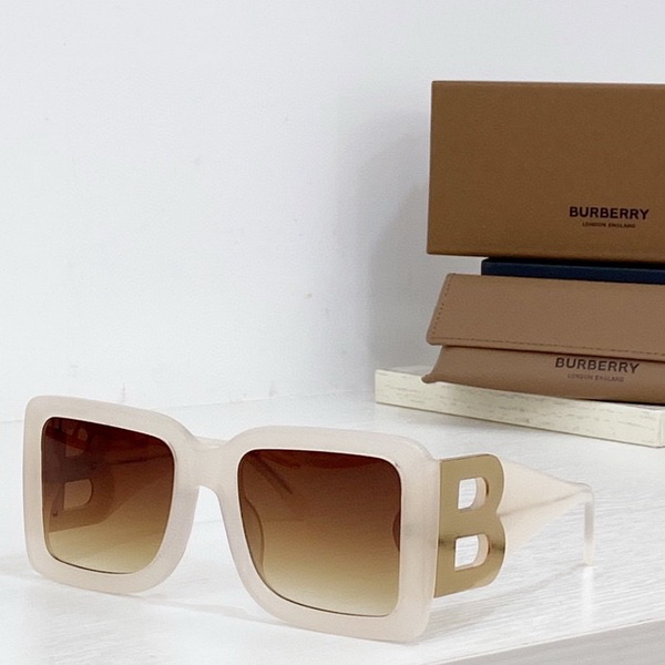 B**rry sunglasses(aaaa)-674