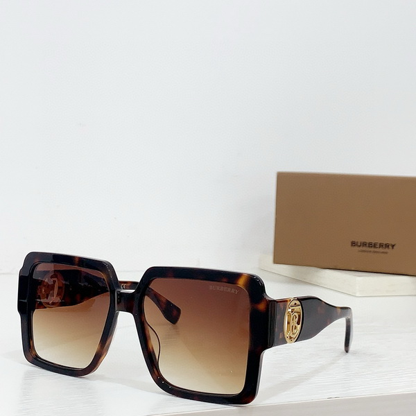 B**rry sunglasses(aaaa)-579