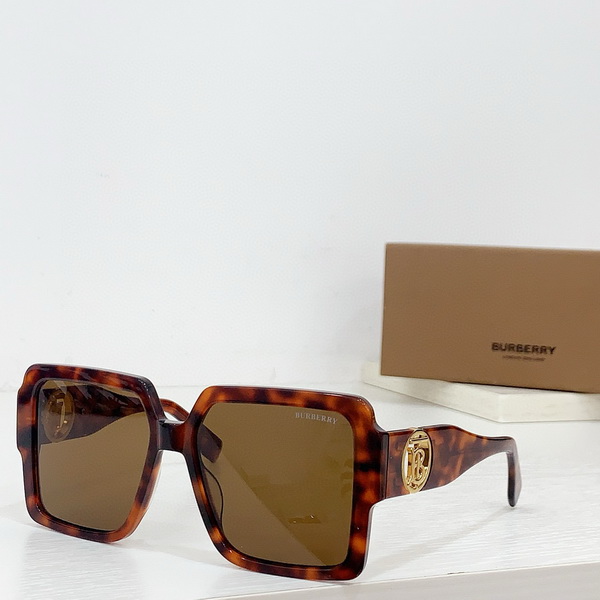B**rry sunglasses(aaaa)-578
