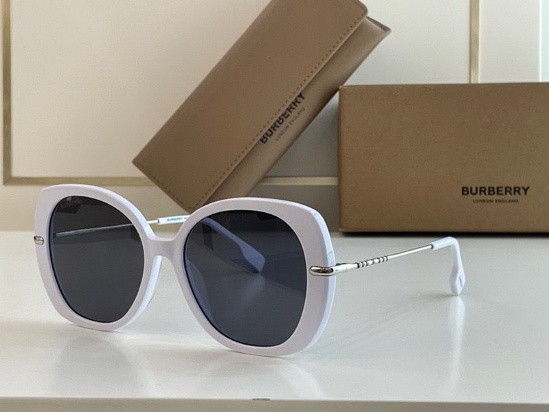 B**rry sunglasses(aaaa)-549