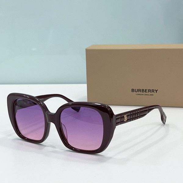 B**rry sunglasses(aaaa)-540