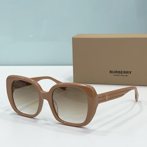 B**rry sunglasses(aaaa)-539