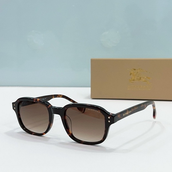 B**rry sunglasses(aaaa)-535