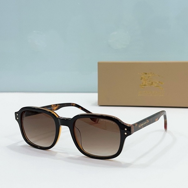 B**rry sunglasses(aaaa)-533