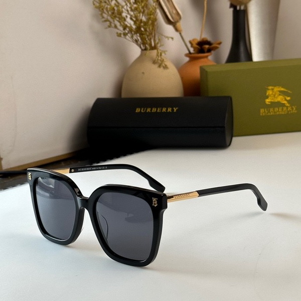 B**rry sunglasses(aaaa)-529