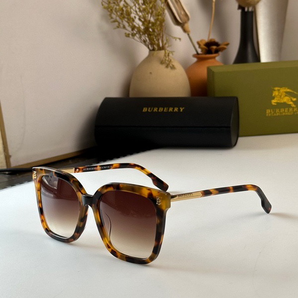 B**rry sunglasses(aaaa)-525