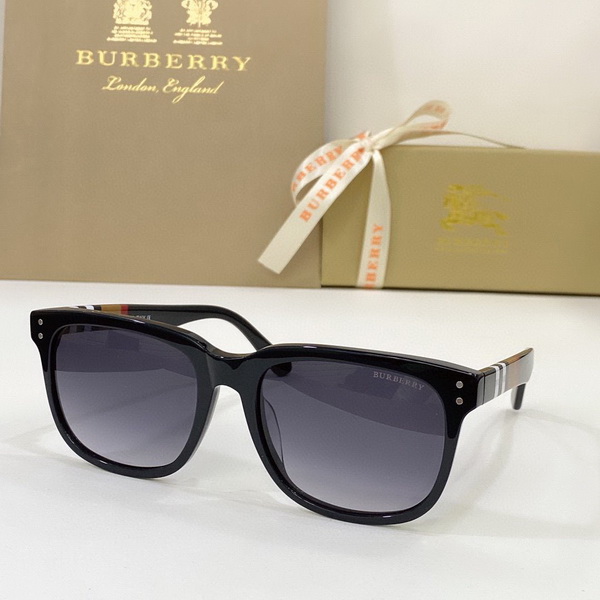 B**rry sunglasses(aaaa)-521