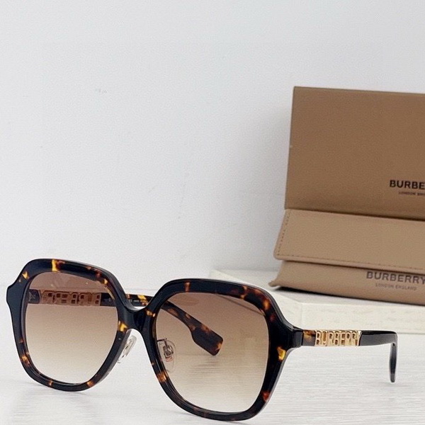 B**rry sunglasses(aaaa)-514