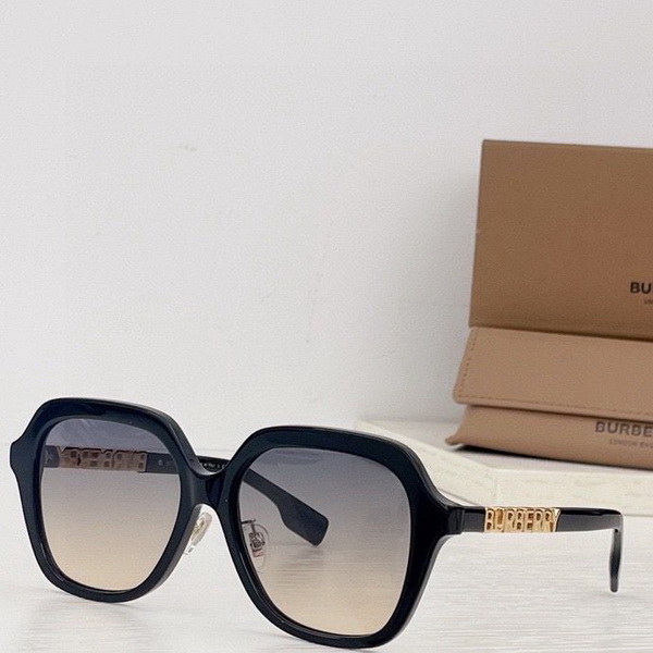 B**rry sunglasses(aaaa)-513