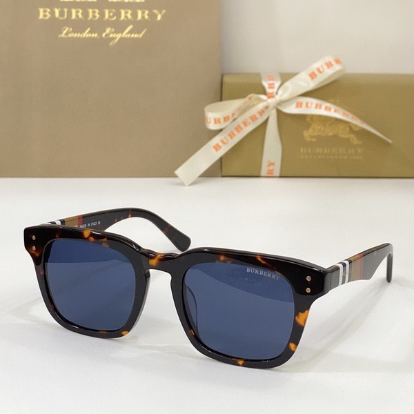 B**rry sunglasses(aaaa)-508