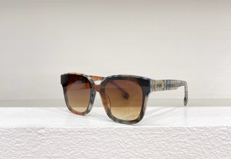 B**rry sunglasses(aaaa)-503