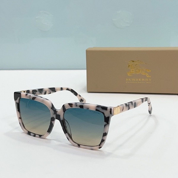B**rry sunglasses(aaaa)-493