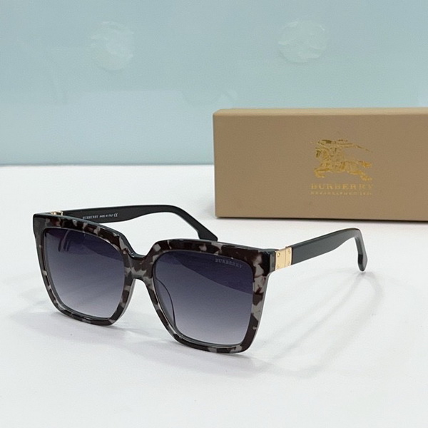 B**rry sunglasses(aaaa)-492