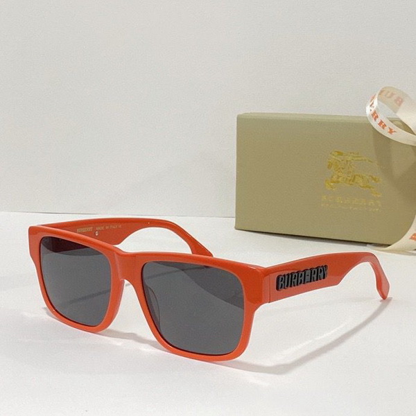 B**rry sunglasses(aaaa)-490