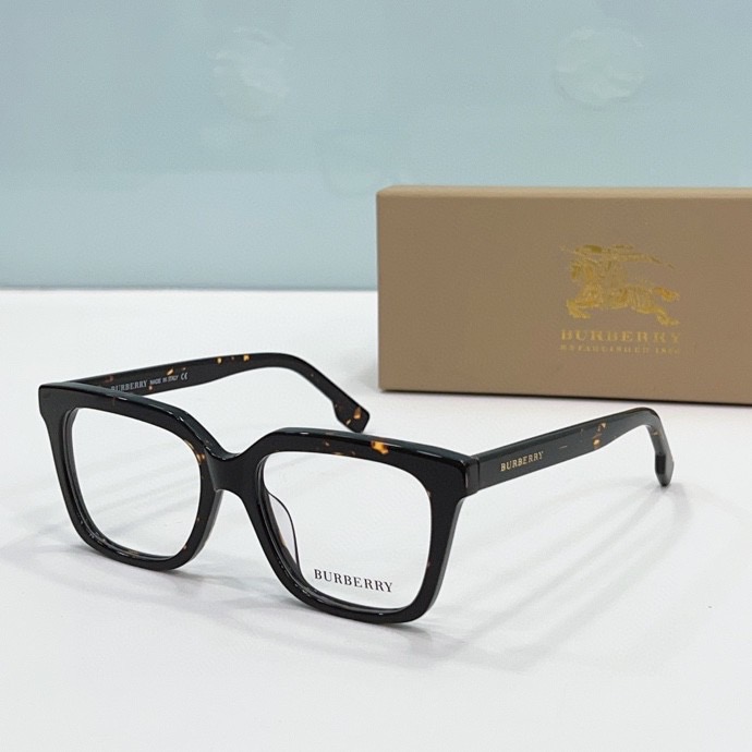 B**rry sunglasses(aaaa)-349