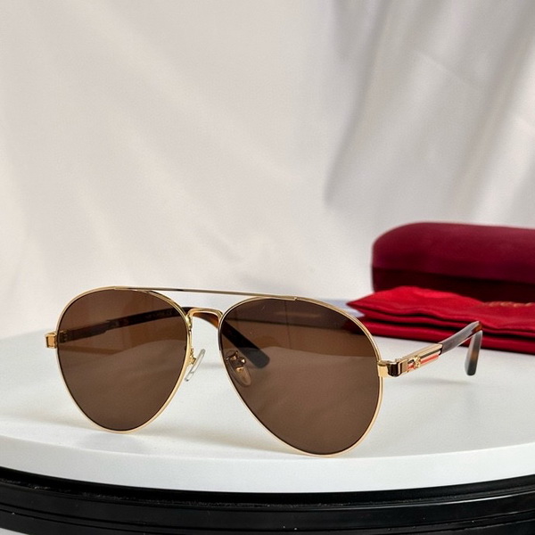 G*u*i sunglasses(aaaa)-1889
