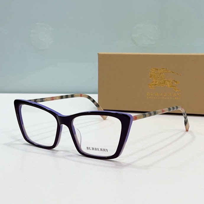 B**rry sunglasses(aaaa)-256