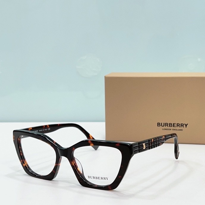 B**rry sunglasses(aaaa)-228