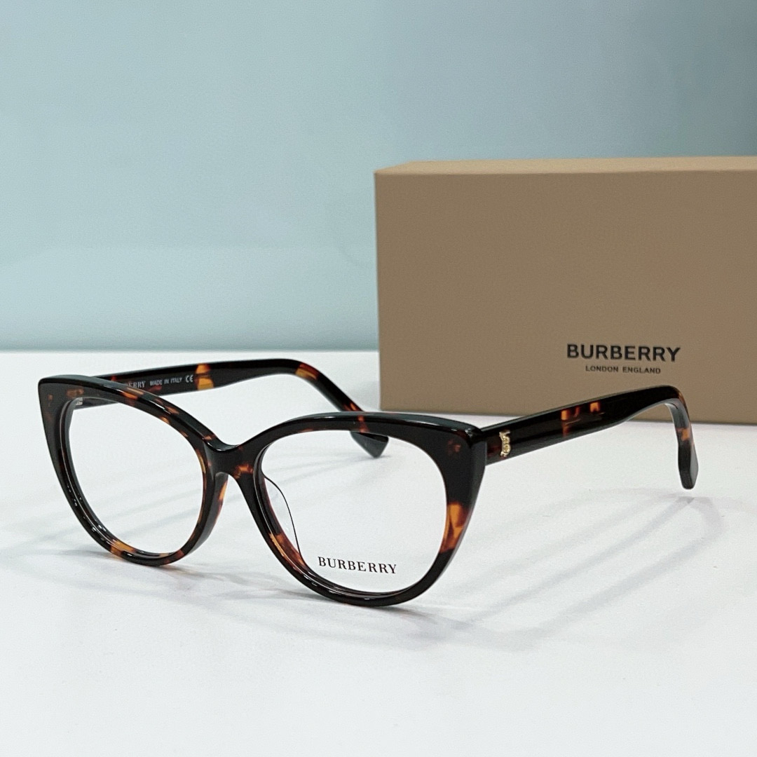 B**rry sunglasses(aaaa)-210