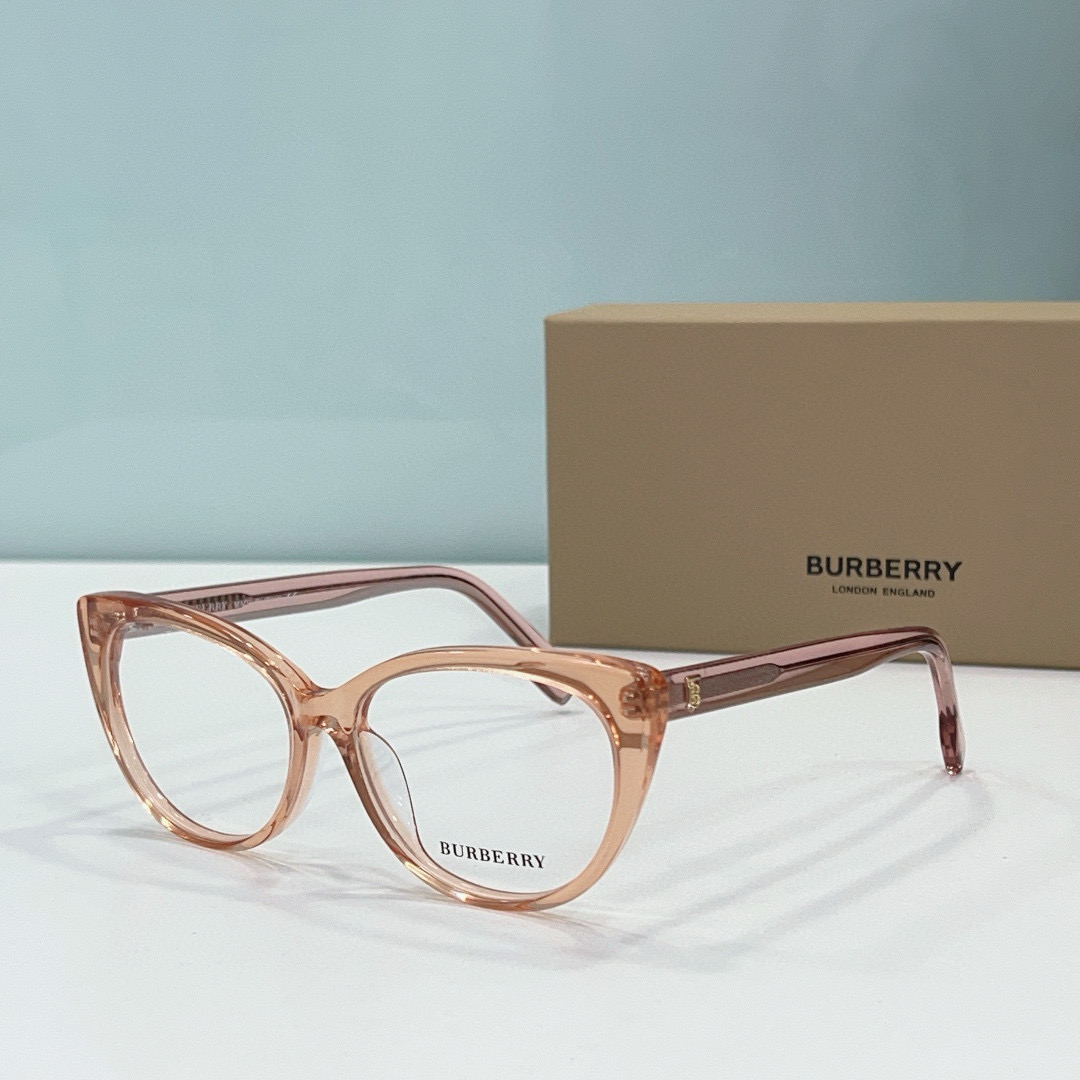 B**rry sunglasses(aaaa)-209