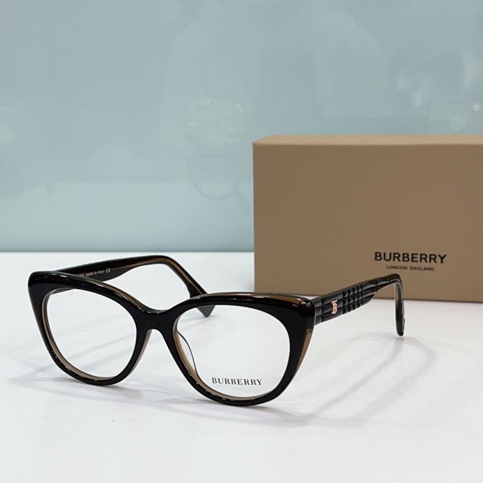 B**rry sunglasses(aaaa)-089