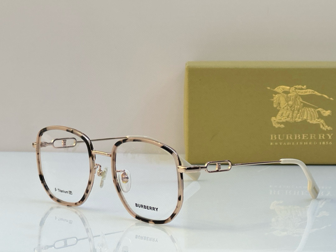 B**rry sunglasses(aaaa)-059