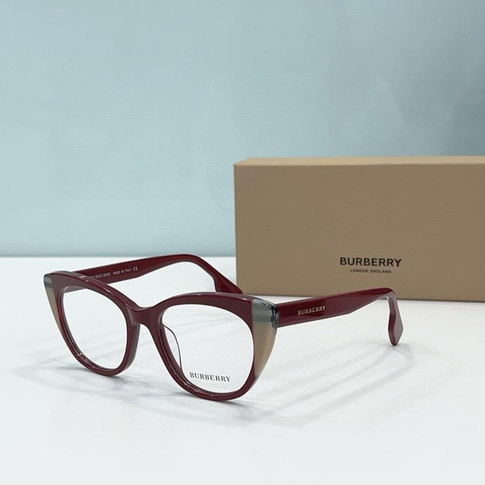 B**rry sunglasses(aaaa)-026