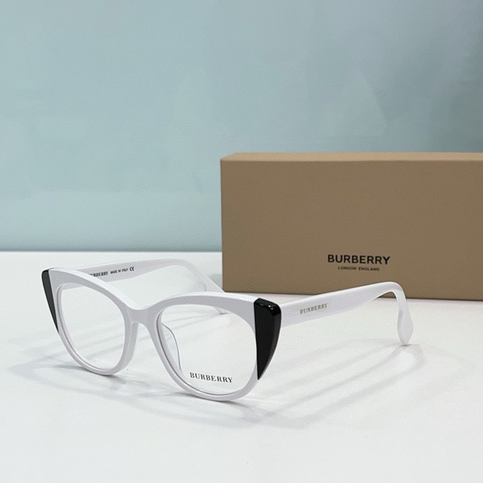 B**rry sunglasses(aaaa)-025