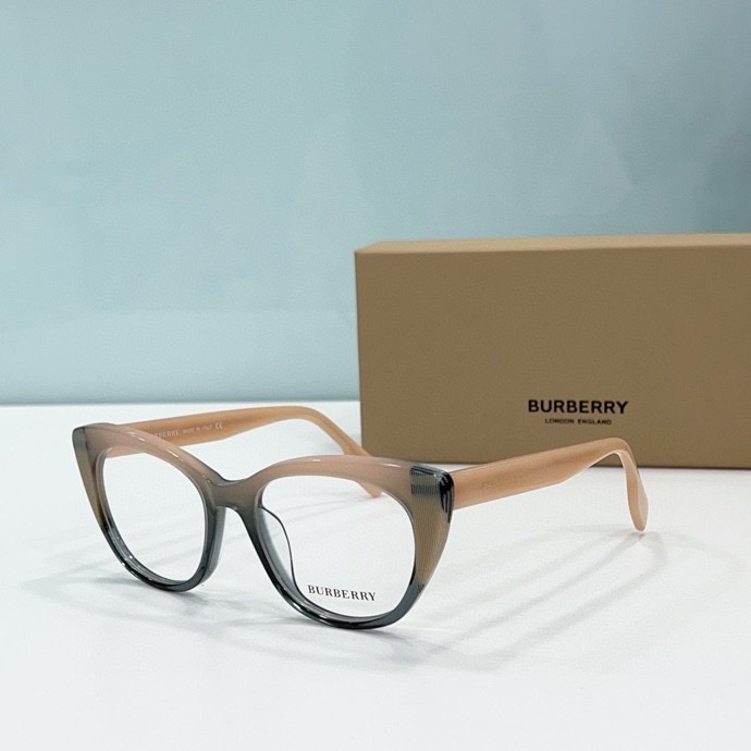 B**rry sunglasses(aaaa)-023