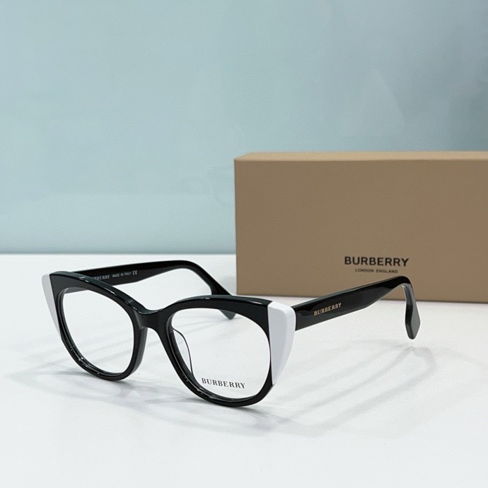 B**rry sunglasses(aaaa)-021
