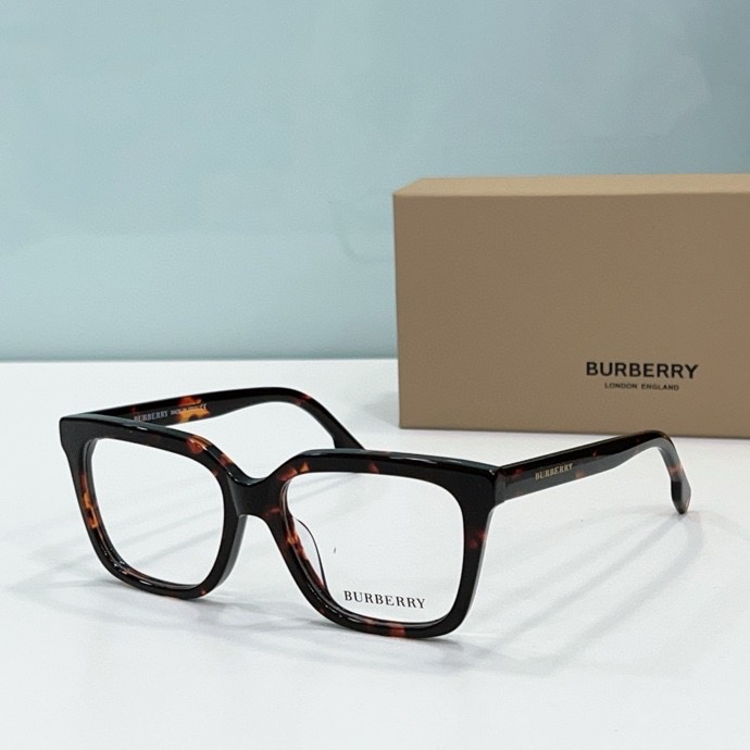 B**rry sunglasses(aaaa)-018