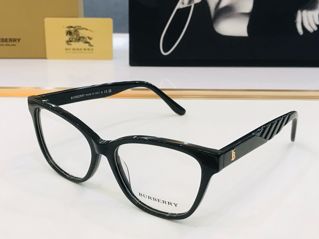 B**rry sunglasses(aaaa)-003