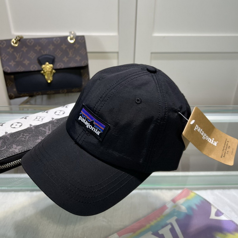 Patagonia Cap-002