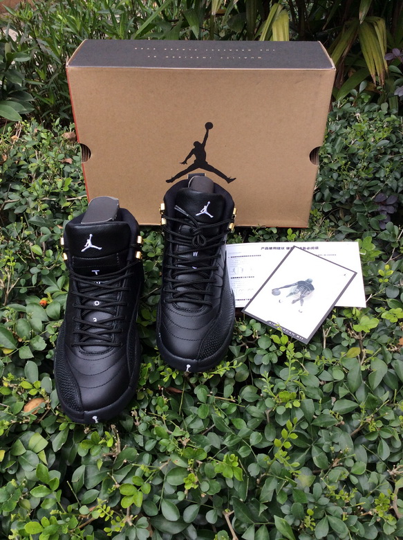 Air Jordan 12 Retro-070