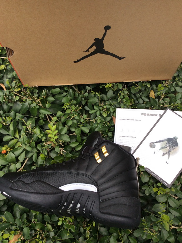 Air Jordan 12 Retro-070