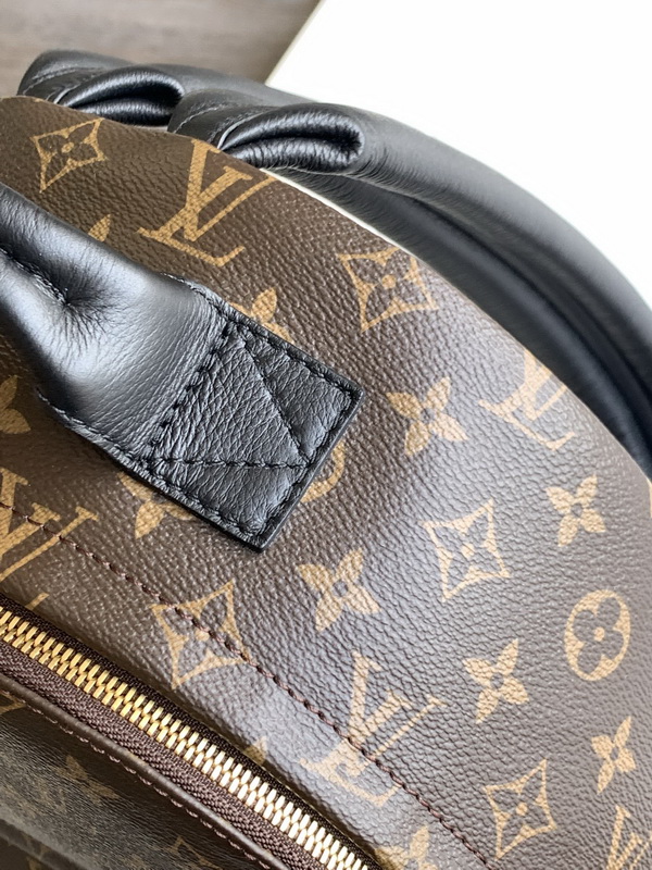 LV Backpack(AAA)-045